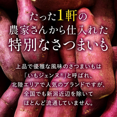残り僅か【冷凍】希少・お上品なジェンヌさん 計5本（1kg以上）〜計10本（2kg以上）┃ おいもここの熟成スイーツやきいも